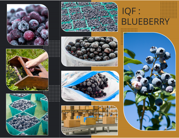 frozen_blueberry_1229386003
