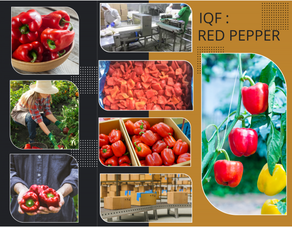frozen_red_pepper_748996795